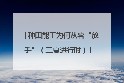 种田能手为何从容“放手”（三夏进行时）
