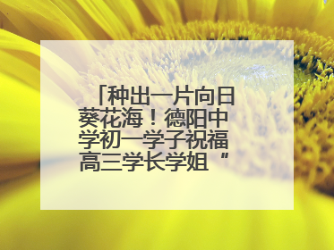 种出一片向日葵花海！德阳中学初一学子祝福高三学长学姐“一举夺魁”