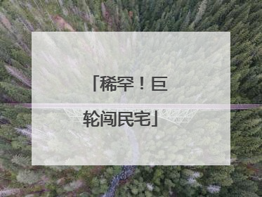 稀罕！巨轮闯民宅