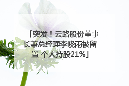 突发！云路股份董事长兼总经理李晓雨被留置 个人持股21%