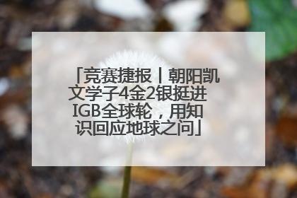 竞赛捷报丨朝阳凯文学子4金2银挺进IGB全球轮，用知识回应地球之问