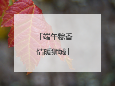 端午粽香 情暖狮城