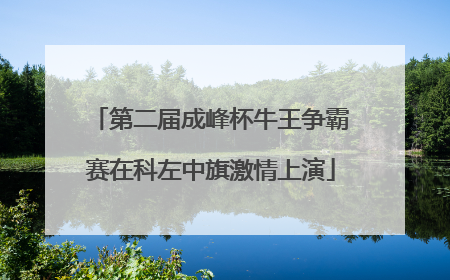 第二届成峰杯牛王争霸赛在科左中旗激情上演