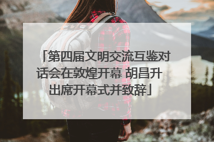 第四届文明交流互鉴对话会在敦煌开幕 胡昌升出席开幕式并致辞
