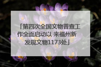 第四次全国文物普查工作全面启动以 来福州新发现文物1173处