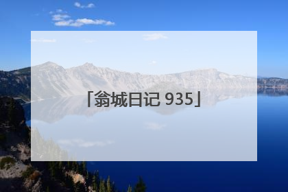翁城日记 935