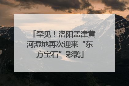 罕见！洛阳孟津黄河湿地再次迎来“东方宝石”彩鹮