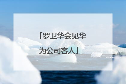 罗卫华会见华为公司客人