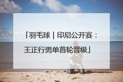 羽毛球｜印尼公开赛：王正行男单首轮晋级