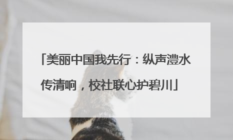 美丽中国我先行：纵声澧水传清响，校社联心护碧川