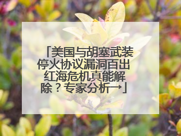 美国与胡塞武装停火协议漏洞百出 红海危机真能解除？专家分析→