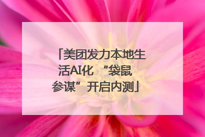 美团发力本地生活AI化 “袋鼠参谋”开启内测