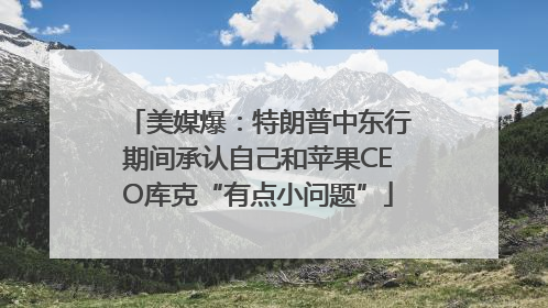 美媒爆：特朗普中东行期间承认自己和苹果CEO库克“有点小问题”