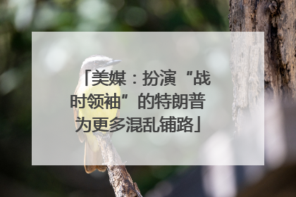 美媒：扮演“战时领袖”的特朗普为更多混乱铺路