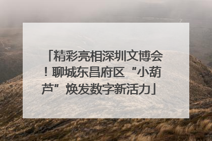 精彩亮相深圳文博会！聊城东昌府区“小葫芦”焕发数字新活力