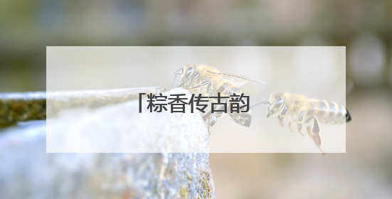 粽香传古韵 温情暖桑榆