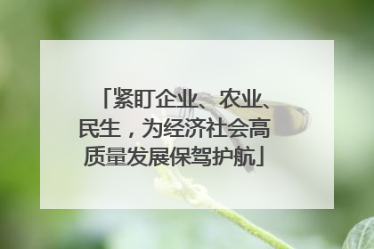 紧盯企业、农业、民生，为经济社会高质量发展保驾护航