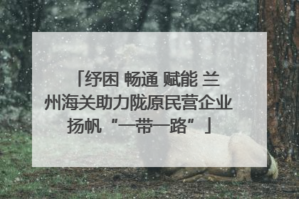 纾困 畅通 赋能 兰州海关助力陇原民营企业扬帆“一带一路”