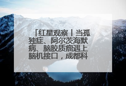 红星观察丨当孤独症、阿尔茨海默病、脑胶质瘤遇上脑机接口，成都科研改变医学图景