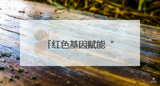 红色基因赋能“利剑护蕾”，这场沉浸式守护宣讲筑牢校园安全防线