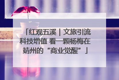 红观五溪｜文旅引流 科技增值 看一颗杨梅在靖州的“商业觉醒”
