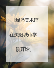 绿岛美术馆在沈阳城市学院开馆