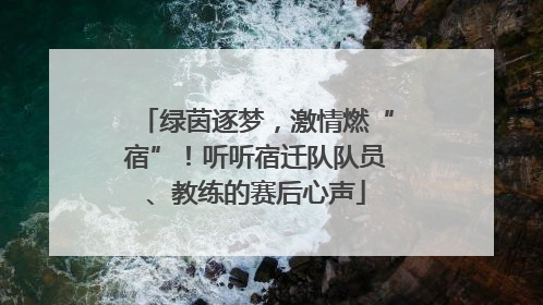 绿茵逐梦，激情燃“宿”！听听宿迁队队员、教练的赛后心声