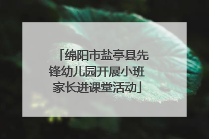 绵阳市盐亭县先锋幼儿园开展小班家长进课堂活动