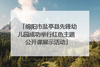 绵阳市盐亭县先锋幼儿园成功举行红色主题公开课展示活动
