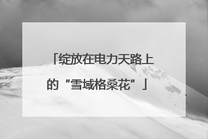 绽放在电力天路上的“雪域格桑花”