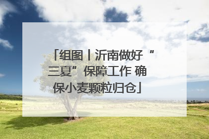 组图丨沂南做好“三夏”保障工作 确保小麦颗粒归仓