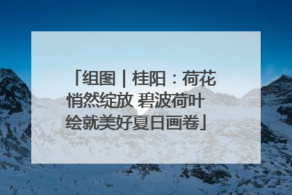 组图｜桂阳：荷花悄然绽放 碧波荷叶绘就美好夏日画卷