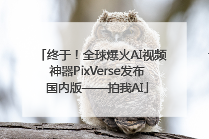 终于！全球爆火AI视频神器PixVerse发布国内版——拍我AI