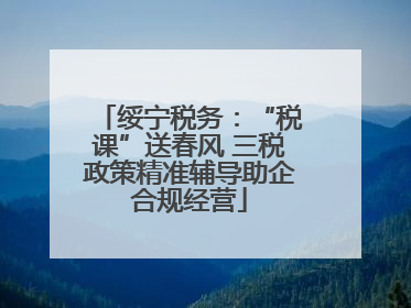 绥宁税务：“税课”送春风 三税政策精准辅导助企合规经营