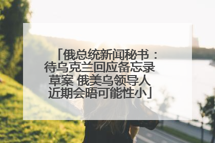 俄总统新闻秘书：待乌克兰回应备忘录草案 俄美乌领导人近期会晤可能性小