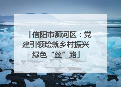 信阳市浉河区：党建引领绘就乡村振兴绿色“丝”路