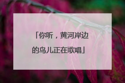 你听，黄河岸边的鸟儿正在歌唱