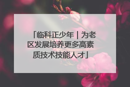 临科正少年｜为老区发展培养更多高素质技术技能人才