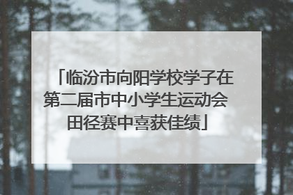 临汾市向阳学校学子在第二届市中小学生运动会田径赛中喜获佳绩