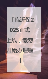 临沂保2025正式上线，缴费开始办理啦