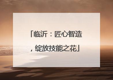 临沂：匠心智造，绽放技能之花