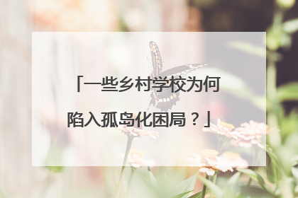 一些乡村学校为何陷入孤岛化困局？