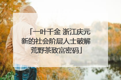 一叶千金 浙江庆元新的社会阶层人士破解荒野茶致富密码