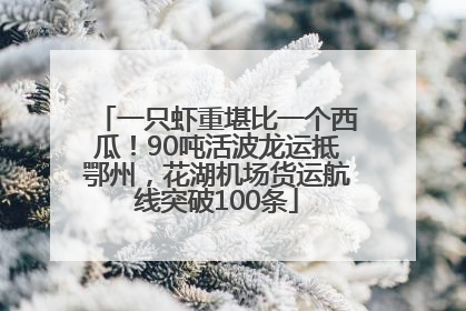 一只虾重堪比一个西瓜！90吨活波龙运抵鄂州，花湖机场货运航线突破100条