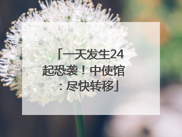 一天发生24起恐袭！中使馆：尽快转移
