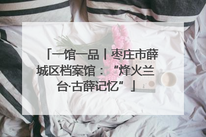 一馆一品丨枣庄市薛城区档案馆：“烽火兰台·古薛记忆”