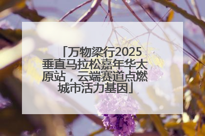 万物梁行2025垂直马拉松嘉年华太原站，云端赛道点燃城市活力基因