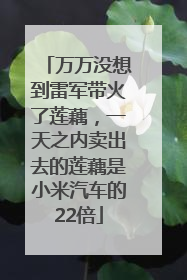 万万没想到雷军带火了莲藕，一天之内卖出去的莲藕是小米汽车的22倍