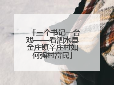 三个书记一台戏——看泗水县金庄镇辛庄村如何强村富民
