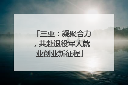 三亚：凝聚合力，共赴退役军人就业创业新征程
